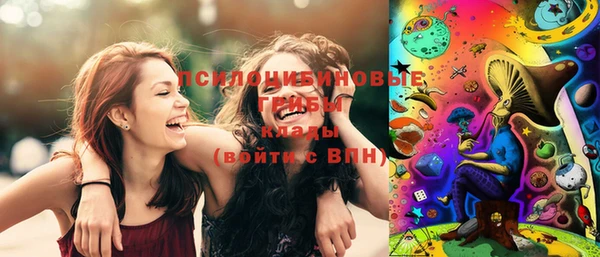 Альфа ПВП Богородицк