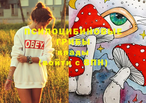 метамфетамин Богданович