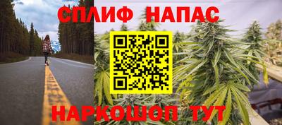 стаф Берёзовский