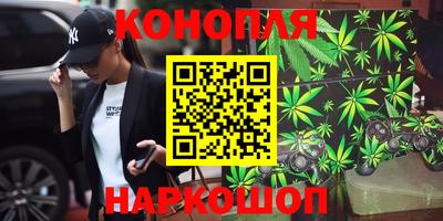 стаф Берёзовский