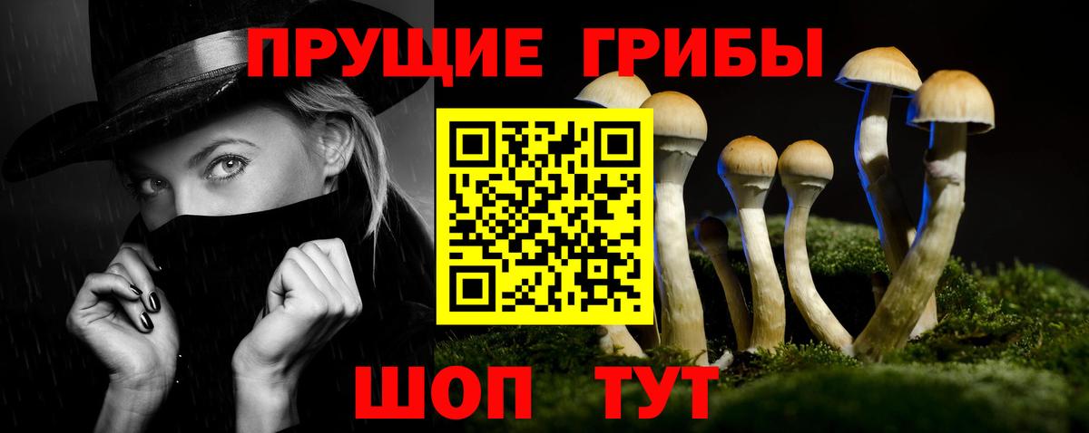 Галлюциногенные грибы Magic Shrooms  Вход с VPN  Вязьма  Галлюциногенные грибы MAGIC MUSHROOMS 